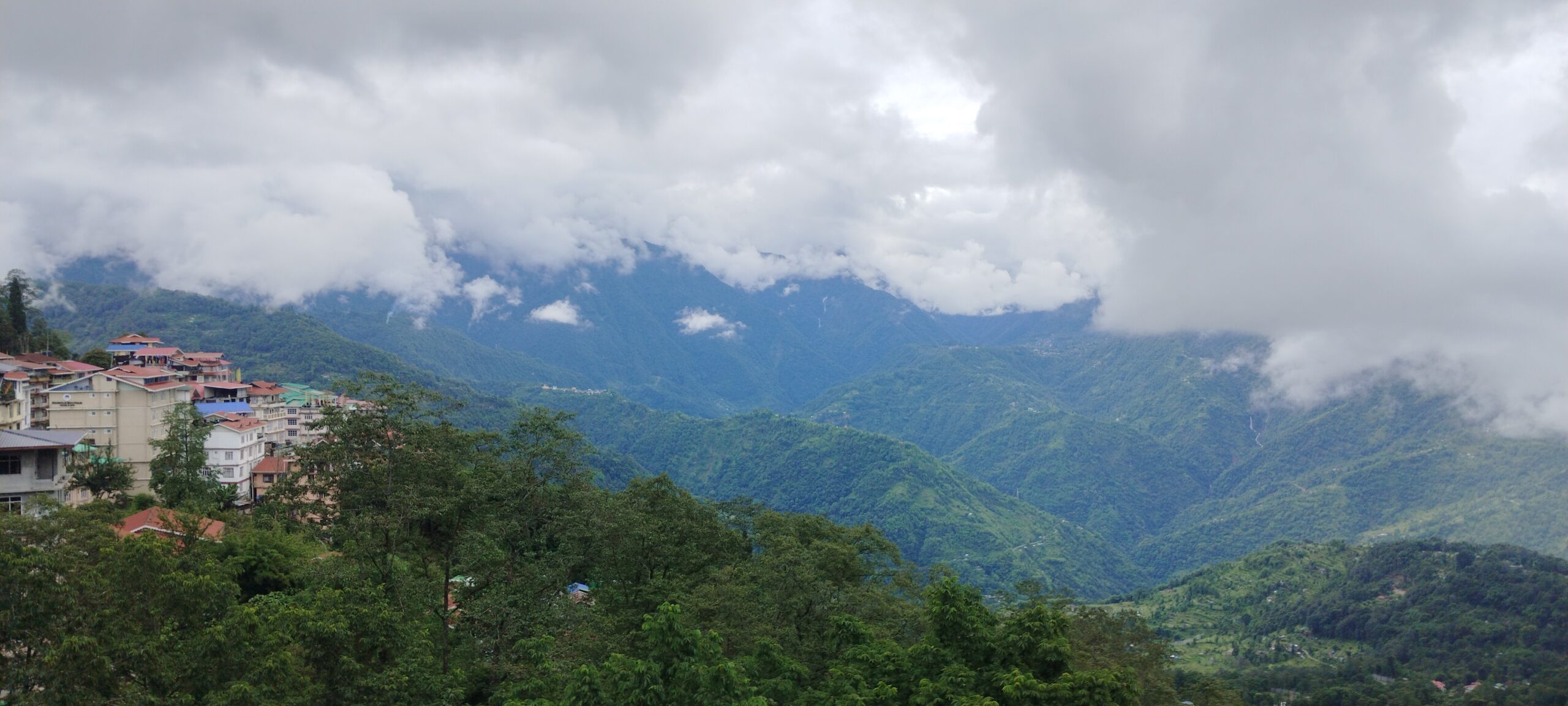 Weather report - pelling sikkim 24-6-2025